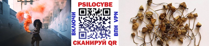 купить  цена  Бирюч  Галлюциногенные грибы прущие грибы 